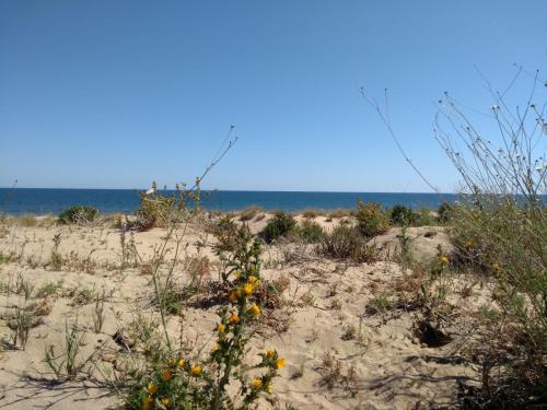 IMG_20190526_172820483_BURST000_COVER