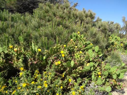 IMG_20190526_172904225