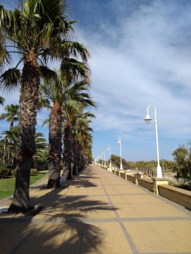 IMG_20190527_182131417