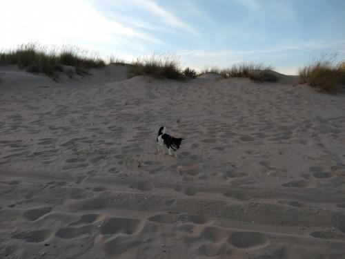 IMG_20190527_211909799