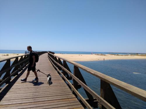 IMG_20190529_131841550_BURST017