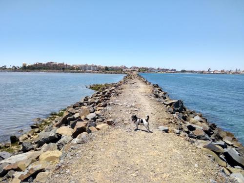 IMG_20190529_140023534_HDR