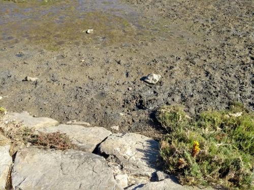 IMG_20190531_171806973_HDR