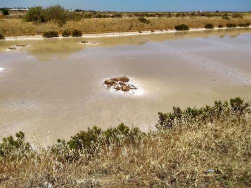 IMG_20190601_142744409_HDR