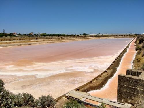 IMG_20190601_143323636_HDR