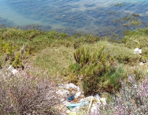 IMG_20190601_144747087_HDR