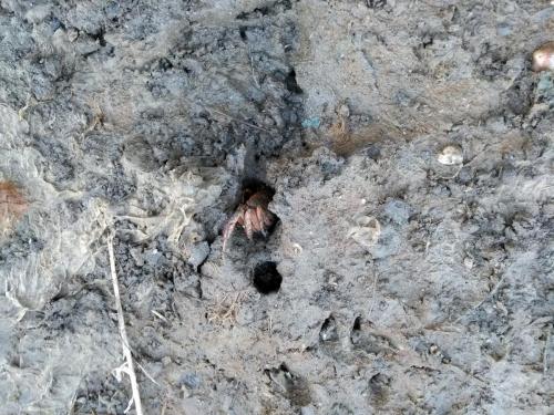 IMG_20190601_203209498