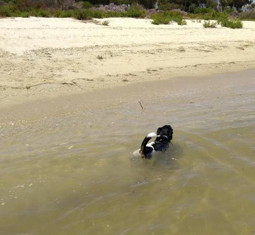 IMG_20190602_135526761