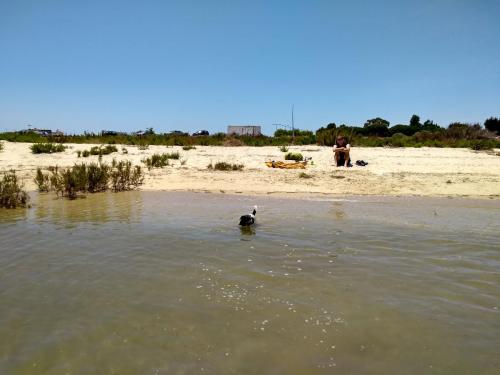 IMG_20190602_135536837_HDR