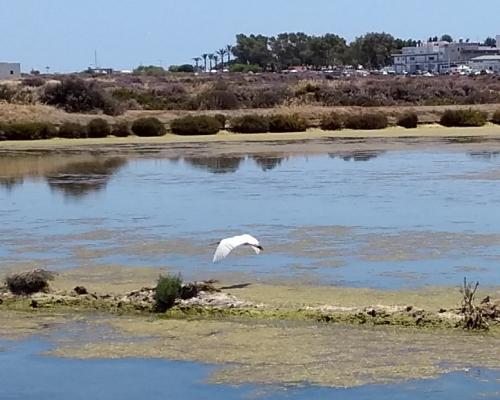 IMG_20190602_142445980