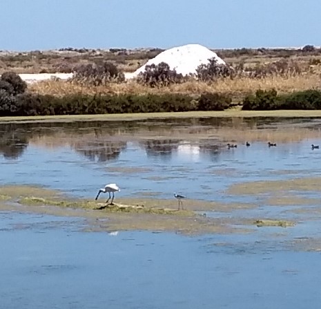 IMG_20190602_142451713