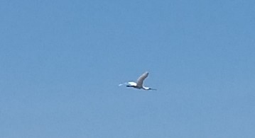 IMG_20190602_142646419_BURST001