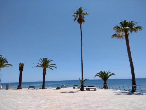 IMG_20190607_134410145