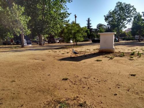 IMG_20190608_184937225_HDR