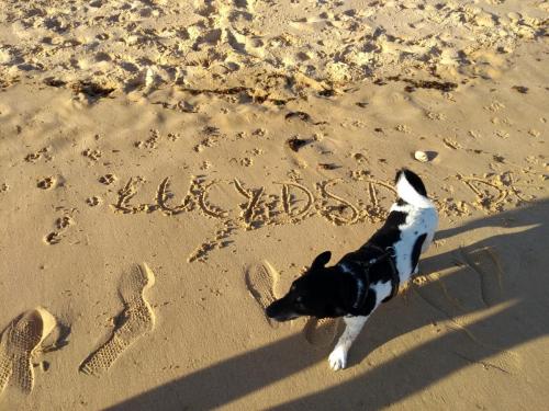 IMG_20190609_193124816_BURST001