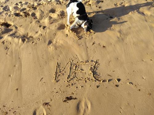 IMG_20190609_193211694