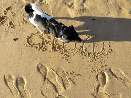 IMG_20190609_193227131