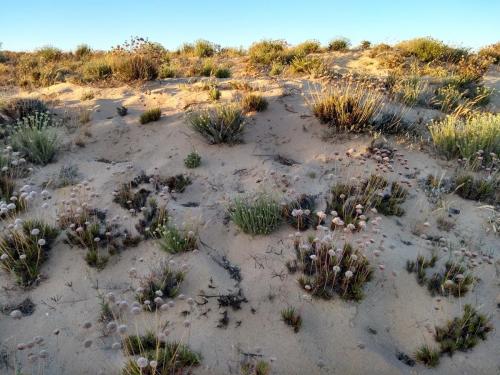 IMG_20190609_202008605_HDR