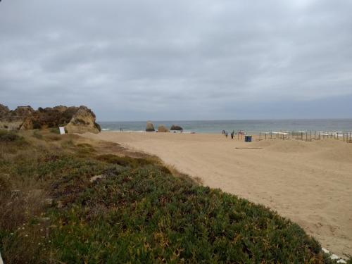 IMG_20190618_144353554