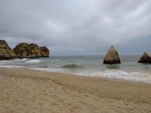 IMG_20190618_144756668