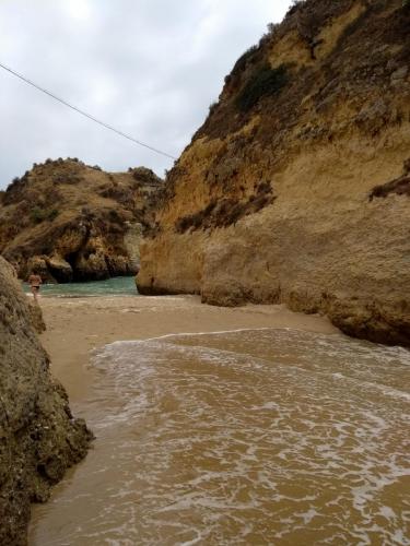 IMG_20190618_145031533_BURST000_COVER_TOP