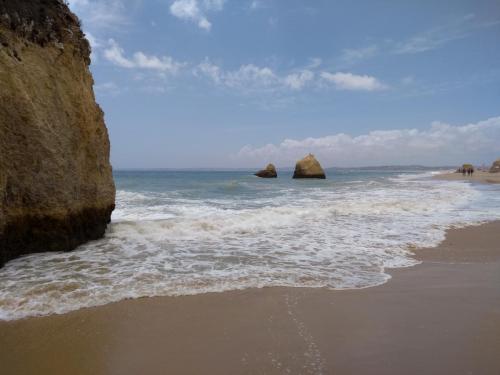 IMG_20190618_145049982