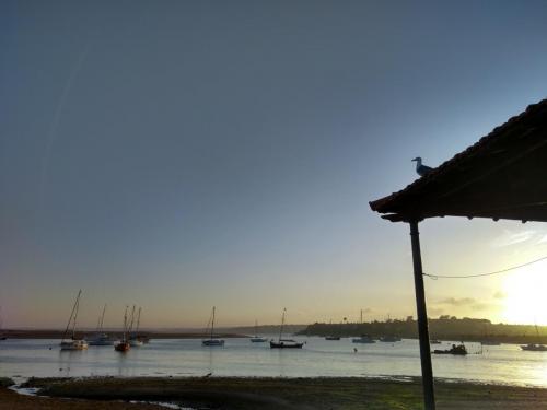 IMG_20190618_203208940_HDR