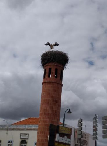 IMG_20190619_160115255