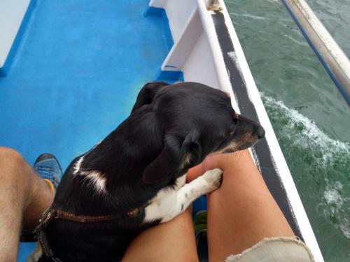 IMG_20190620_113156402_HDR