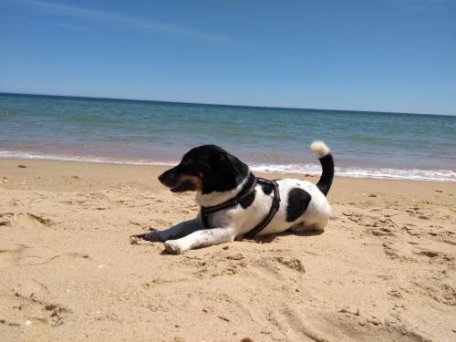 IMG_20190622_151015066