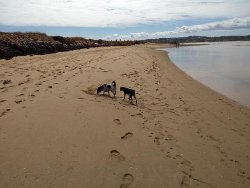 IMG_20190625_162320271