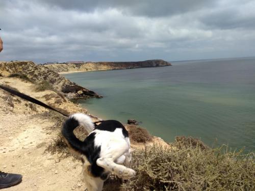 IMG_20190626_134212366