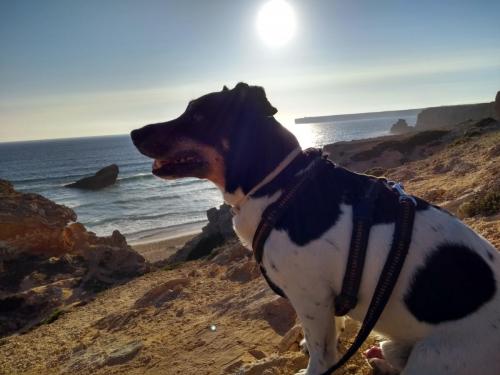 IMG_20190626_194049685_HDR