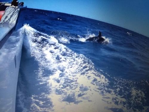 IMG_20190628_192445110