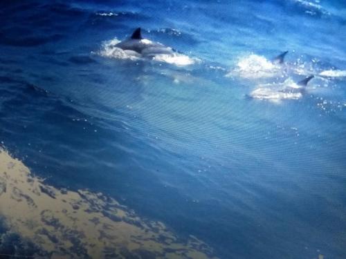 IMG_20190628_193348581