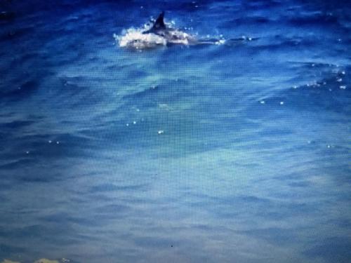 IMG_20190628_193410194