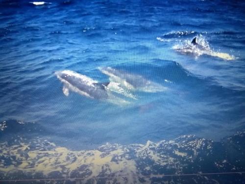 IMG_20190628_193419154