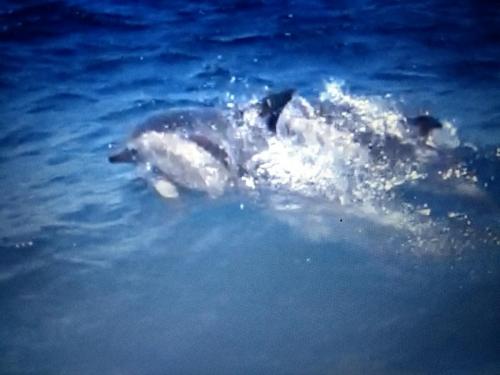 IMG_20190628_193435717