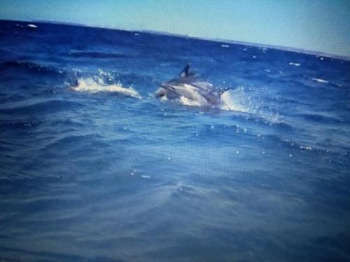 IMG_20190628_193658505