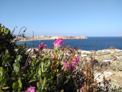 IMG_20190629_175625380