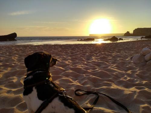 IMG_20190703_203438616_HDR