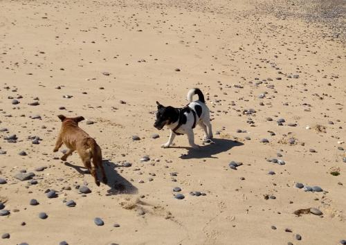 IMG_20190705_1057263022