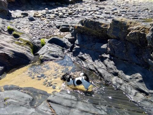 IMG_20190705_105956302_HDR