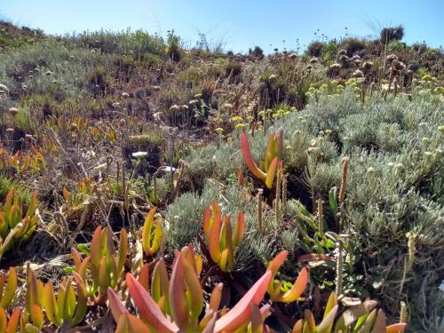 IMG_20190705_110946459_HDR