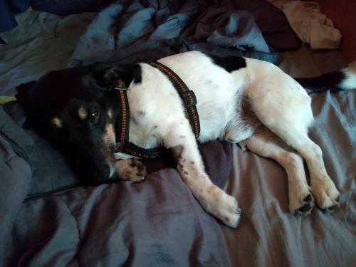 IMG_20190708_134111334-1