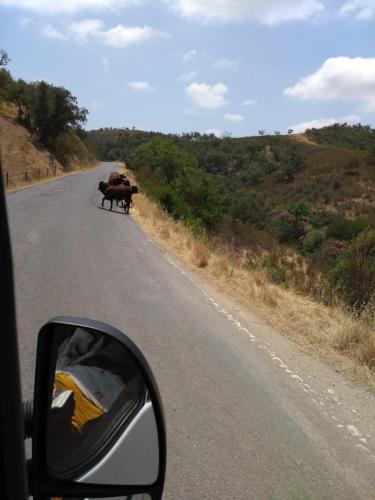 IMG_20190717_133149234