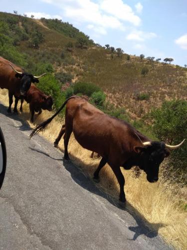 IMG_20190717_133152992