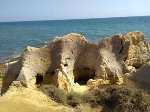 IMG_20190717_165257877