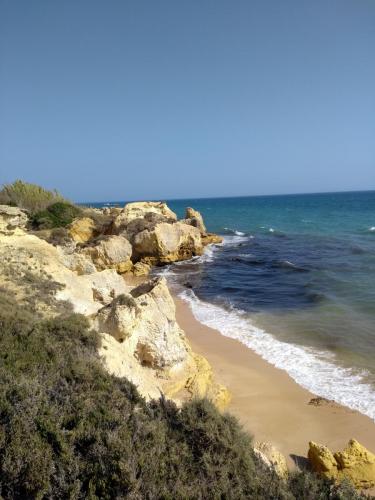 IMG_20190717_165921550