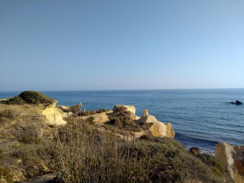 IMG_20190718_184523373